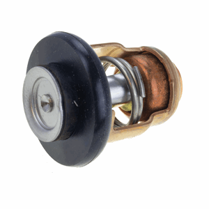 Thermostat 69M124110100