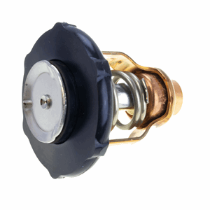 Thermostat 6FP124110000