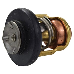 Thermostat 6H3124111100