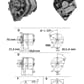 MG499_Rel MG-309a.jpg